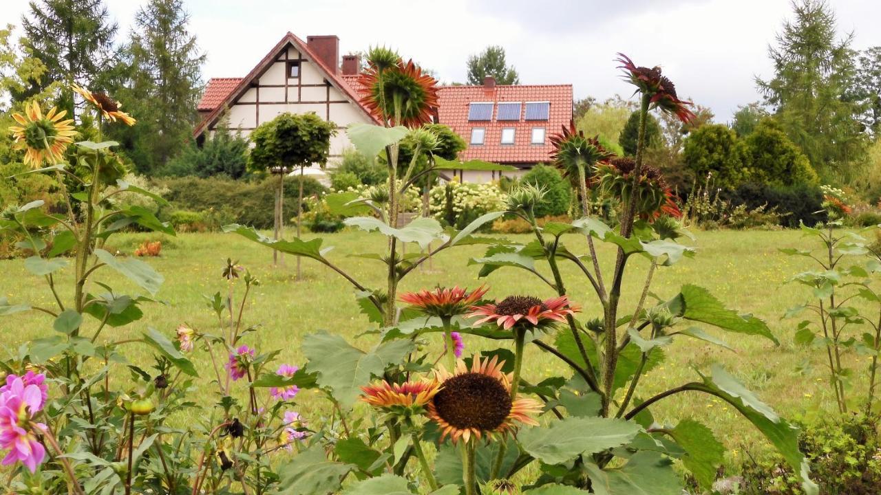 Villa Orlik Barlinek Exterior photo