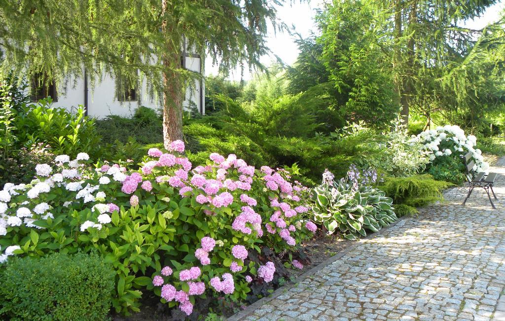 Villa Orlik Barlinek Exterior photo